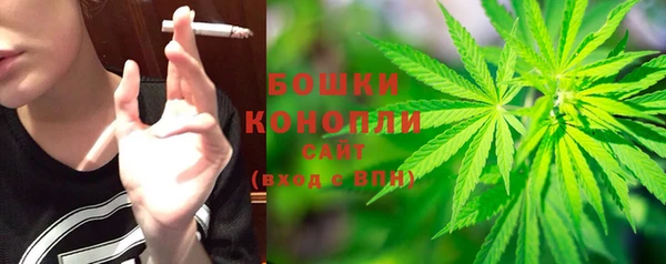 метадон Гусь-Хрустальный