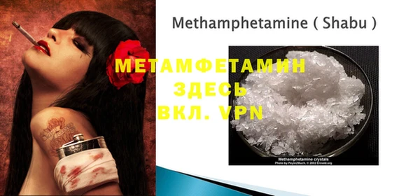 ПСИЛОЦИБИНОВЫЕ ГРИБЫ Гусев