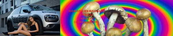метадон Гусь-Хрустальный