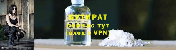 ПСИЛОЦИБИНОВЫЕ ГРИБЫ Гусев