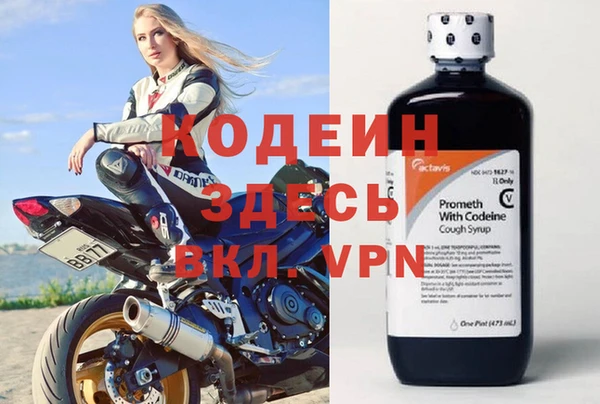 ПСИЛОЦИБИНОВЫЕ ГРИБЫ Гусев