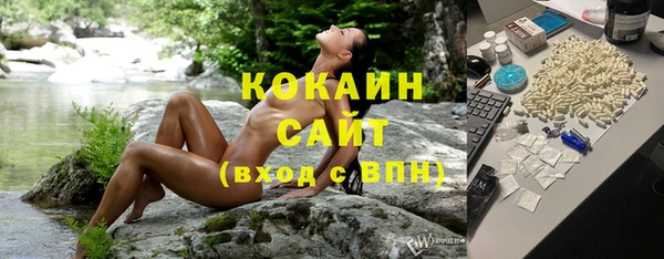 ПСИЛОЦИБИНОВЫЕ ГРИБЫ Гусев