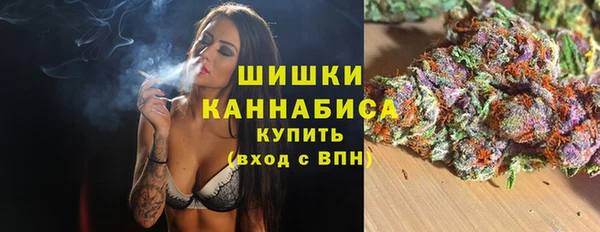 ПСИЛОЦИБИНОВЫЕ ГРИБЫ Гусев