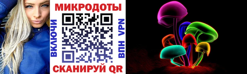 Псилоцибиновые грибы Psilocybe купить цена Котельниково
